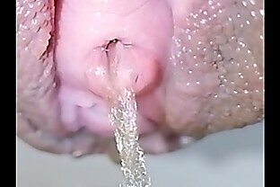 #jurtv4potus s3 e67 I asked the owner if I could give the dogs a bath (bc they're fucking filthy) 10 min